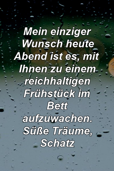 Mein einziger Wunsch heute Abend ist es, mit Ihnen zu einem reichhaltigen Frühstück im Bett aufzuwachen. Süße Träume, Schatz