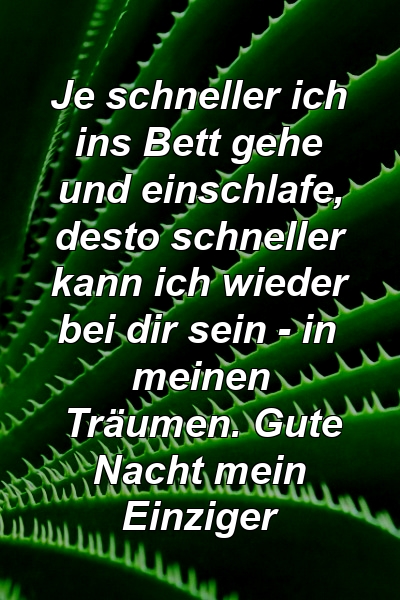 Je schneller ich ins Bett gehe und einschlafe, desto schneller kann ich wieder bei dir sein - in meinen Träumen. Gute Nacht mein Einziger