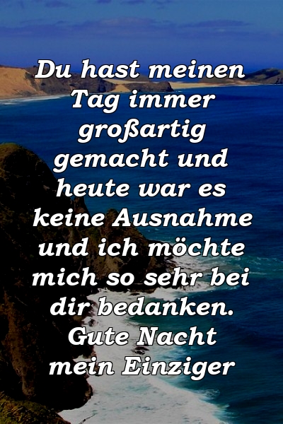 Du hast meinen Tag immer großartig gemacht und heute war es keine Ausnahme und ich möchte mich so sehr bei dir bedanken. Gute Nacht mein Einziger