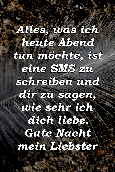 Alles, was ich heute Abend tun möchte, ist eine SMS zu schreiben und dir zu sagen, wie sehr ich dich liebe. Gute Nacht mein Liebster