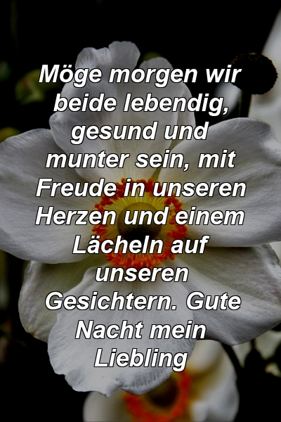 Möge morgen wir beide lebendig, gesund und munter sein, mit Freude in unseren Herzen und einem Lächeln auf unseren Gesichtern. Gute Nacht mein Liebling