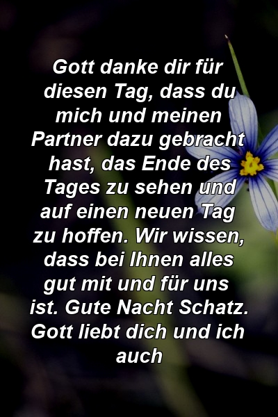 Gott danke dir für diesen Tag, dass du mich und meinen Partner dazu gebracht hast, das Ende des Tages zu sehen und auf einen neuen Tag zu hoffen. Wir wissen, dass bei Ihnen alles gut mit und für uns ist. Gute Nacht Schatz. Gott liebt dich und ich auch