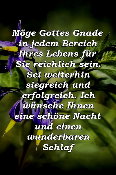 Möge Gottes Gnade in jedem Bereich Ihres Lebens für Sie reichlich sein. Sei weiterhin siegreich und erfolgreich. Ich wünsche Ihnen eine schöne Nacht und einen wunderbaren Schlaf