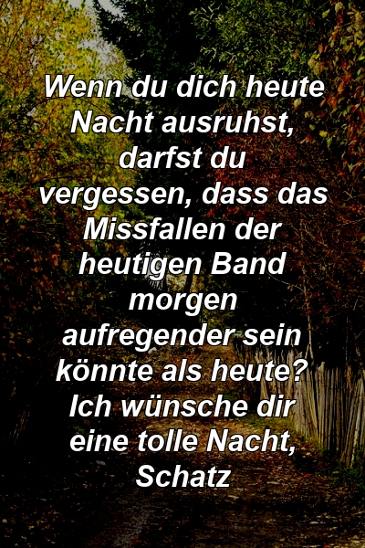 Wenn du dich heute Nacht ausruhst, darfst du vergessen, dass das Missfallen der heutigen Band morgen aufregender sein könnte als heute? Ich wünsche dir eine tolle Nacht, Schatz