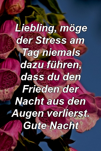 Liebling, möge der Stress am Tag niemals dazu führen, dass du den Frieden der Nacht aus den Augen verlierst. Gute Nacht