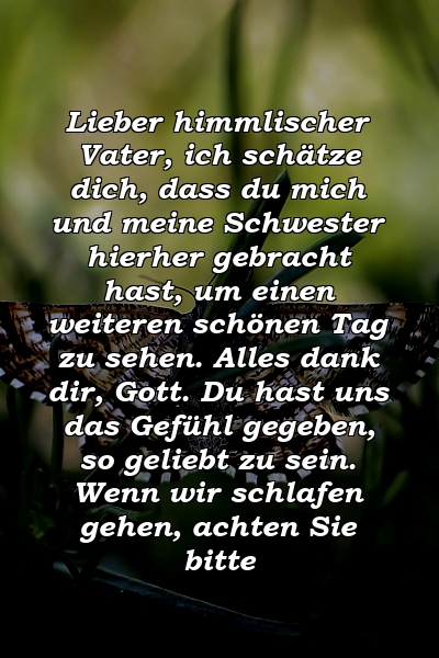 Lieber himmlischer Vater, ich schätze dich, dass du mich und meine Schwester hierher gebracht hast, um einen weiteren schönen Tag zu sehen. Alles dank dir, Gott. Du hast uns das Gefühl gegeben, so geliebt zu sein. Wenn wir schlafen gehen, achten Sie bitte