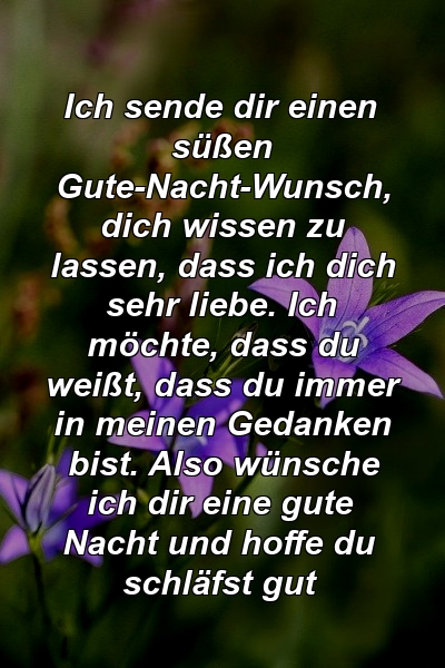 Ich sende dir einen süßen Gute-Nacht-Wunsch, dich wissen zu lassen, dass ich dich sehr liebe. Ich möchte, dass du weißt, dass du immer in meinen Gedanken bist. Also wünsche ich dir eine gute Nacht und hoffe du schläfst gut