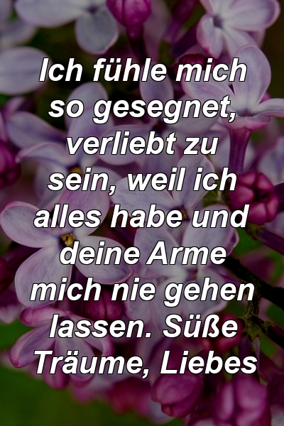 Ich fühle mich so gesegnet, verliebt zu sein, weil ich alles habe und deine Arme mich nie gehen lassen. Süße Träume, Liebes