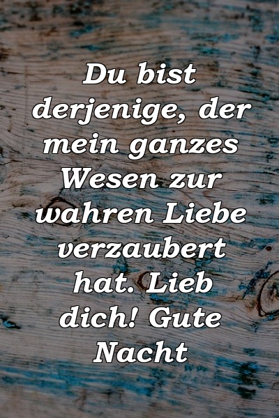 Du bist derjenige, der mein ganzes Wesen zur wahren Liebe verzaubert hat. Lieb dich! Gute Nacht