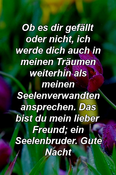 Ob es dir gefällt oder nicht, ich werde dich auch in meinen Träumen weiterhin als meinen Seelenverwandten ansprechen. Das bist du mein lieber Freund; ein Seelenbruder. Gute Nacht