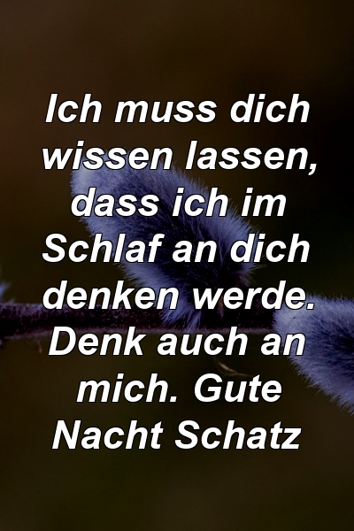 Ich muss dich wissen lassen, dass ich im Schlaf an dich denken werde. Denk auch an mich. Gute Nacht Schatz