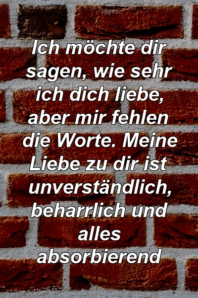 Ich möchte dir sagen, wie sehr ich dich liebe, aber mir fehlen die Worte. Meine Liebe zu dir ist unverständlich, beharrlich und alles absorbierend