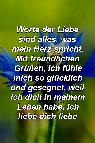 Worte der Liebe sind alles, was mein Herz spricht. Mit freundlichen Grüßen, ich fühle mich so glücklich und gesegnet, weil ich dich in meinem Leben habe. Ich liebe dich liebe