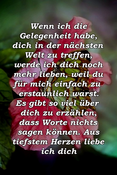 Wenn ich die Gelegenheit habe, dich in der nächsten Welt zu treffen, werde ich dich noch mehr lieben, weil du für mich einfach zu erstaunlich warst. Es gibt so viel über dich zu erzählen, dass Worte nichts sagen können. Aus tiefstem Herzen liebe ich dich 