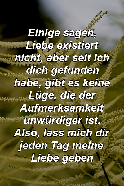 Einige sagen, Liebe existiert nicht, aber seit ich dich gefunden habe, gibt es keine Lüge, die der Aufmerksamkeit unwürdiger ist. Also, lass mich dir jeden Tag meine Liebe geben