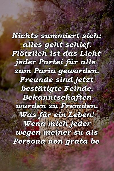 Nichts summiert sich; alles geht schief. Plötzlich ist das Licht jeder Partei für alle zum Paria geworden. Freunde sind jetzt bestätigte Feinde. Bekanntschaften wurden zu Fremden. Was für ein Leben! Wenn mich jeder wegen meiner su als Persona non grata be