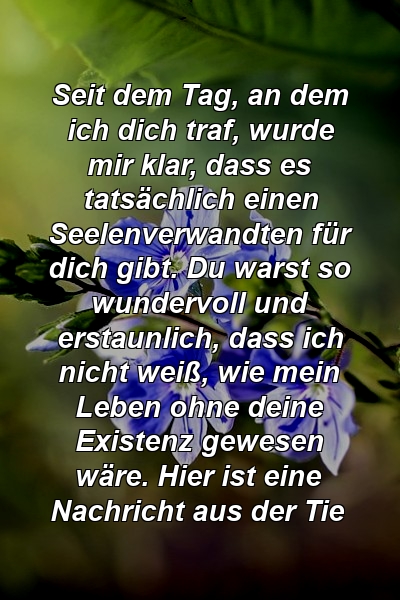 Seit dem Tag, an dem ich dich traf, wurde mir klar, dass es tatsächlich einen Seelenverwandten für dich gibt. Du warst so wundervoll und erstaunlich, dass ich nicht weiß, wie mein Leben ohne deine Existenz gewesen wäre. Hier ist eine Nachricht aus der Tie