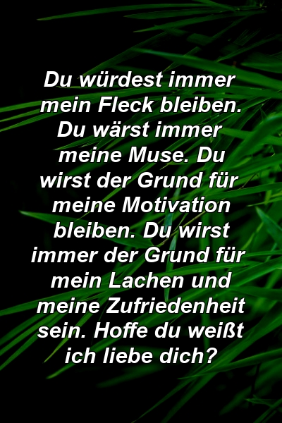 Du würdest immer mein Fleck bleiben. Du wärst immer meine Muse. Du wirst der Grund für meine Motivation bleiben. Du wirst immer der Grund für mein Lachen und meine Zufriedenheit sein. Hoffe du weißt ich liebe dich?