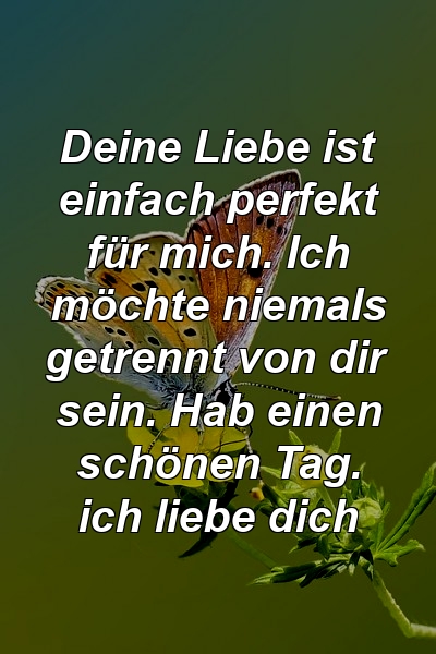 Deine Liebe ist einfach perfekt für mich. Ich möchte niemals getrennt von dir sein. Hab einen schönen Tag. ich liebe dich