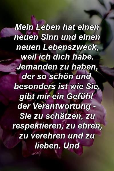 Mein Leben hat einen neuen Sinn und einen neuen Lebenszweck, weil ich dich habe. Jemanden zu haben, der so schön und besonders ist wie Sie, gibt mir ein Gefühl der Verantwortung - Sie zu schätzen, zu respektieren, zu ehren, zu verehren und zu lieben. Und 