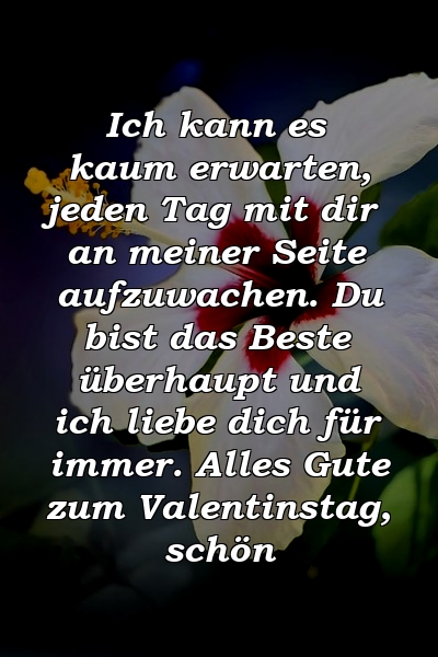 Ich kann es kaum erwarten, jeden Tag mit dir an meiner Seite aufzuwachen. Du bist das Beste überhaupt und ich liebe dich für immer. Alles Gute zum Valentinstag, schön