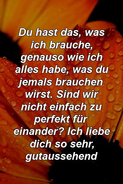 Du hast das, was ich brauche, genauso wie ich alles habe, was du jemals brauchen wirst. Sind wir nicht einfach zu perfekt für einander? Ich liebe dich so sehr, gutaussehend