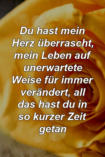 Du hast mein Herz überrascht, mein Leben auf unerwartete Weise für immer verändert, all das hast du in so kurzer Zeit getan