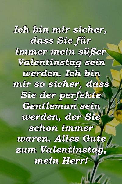 Ich bin mir sicher, dass Sie für immer mein süßer Valentinstag sein werden. Ich bin mir so sicher, dass Sie der perfekte Gentleman sein werden, der Sie schon immer waren. Alles Gute zum Valentinstag, mein Herr!