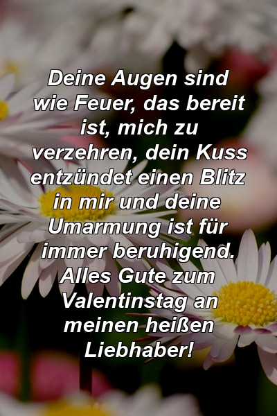 Deine Augen sind wie Feuer, das bereit ist, mich zu verzehren, dein Kuss entzündet einen Blitz in mir und deine Umarmung ist für immer beruhigend. Alles Gute zum Valentinstag an meinen heißen Liebhaber!