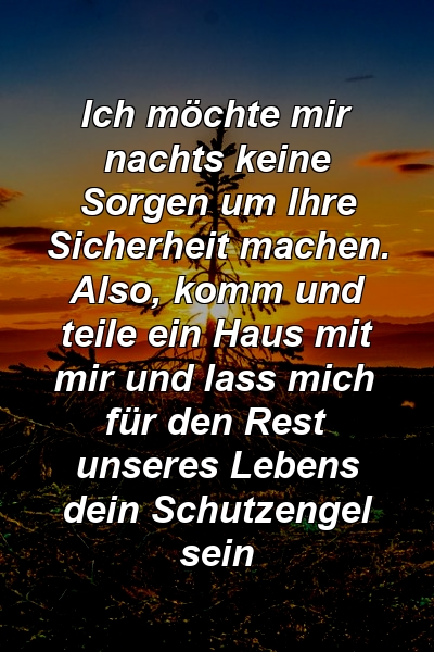 Ich möchte mir nachts keine Sorgen um Ihre Sicherheit machen. Also, komm und teile ein Haus mit mir und lass mich für den Rest unseres Lebens dein Schutzengel sein