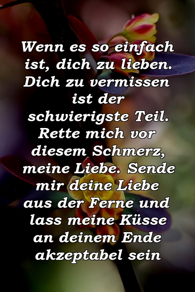 Wenn es so einfach ist, dich zu lieben. Dich zu vermissen ist der schwierigste Teil. Rette mich vor diesem Schmerz, meine Liebe. Sende mir deine Liebe aus der Ferne und lass meine Küsse an deinem Ende akzeptabel sein