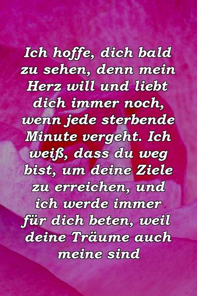 Ich hoffe, dich bald zu sehen, denn mein Herz will und liebt dich immer noch, wenn jede sterbende Minute vergeht. Ich weiß, dass du weg bist, um deine Ziele zu erreichen, und ich werde immer für dich beten, weil deine Träume auch meine sind