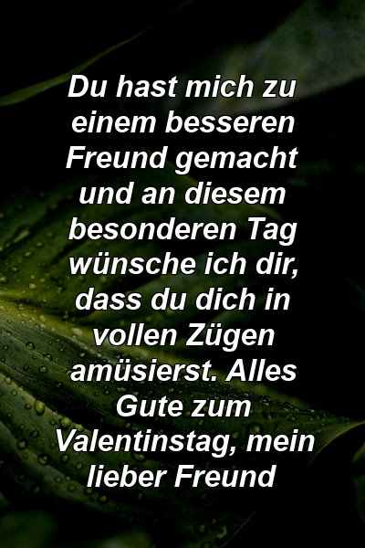 Du hast mich zu einem besseren Freund gemacht und an diesem besonderen Tag wünsche ich dir, dass du dich in vollen Zügen amüsierst. Alles Gute zum Valentinstag, mein lieber Freund