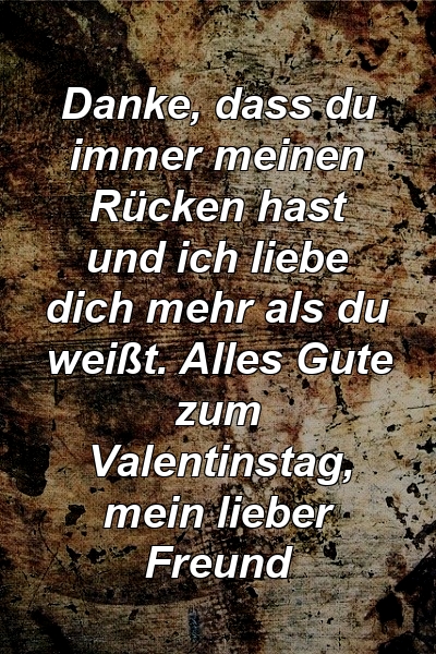 Danke, dass du immer meinen Rücken hast und ich liebe dich mehr als du weißt. Alles Gute zum Valentinstag, mein lieber Freund