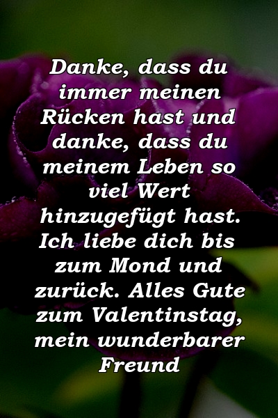 Danke, dass du immer meinen Rücken hast und danke, dass du meinem Leben so viel Wert hinzugefügt hast. Ich liebe dich bis zum Mond und zurück. Alles Gute zum Valentinstag, mein wunderbarer Freund