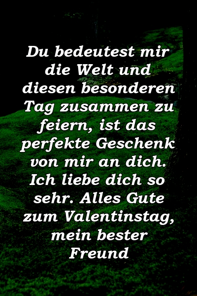 Du bedeutest mir die Welt und diesen besonderen Tag zusammen zu feiern, ist das perfekte Geschenk von mir an dich. Ich liebe dich so sehr. Alles Gute zum Valentinstag, mein bester Freund