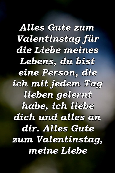 Alles Gute zum Valentinstag für die Liebe meines Lebens, du bist eine Person, die ich mit jedem Tag lieben gelernt habe, ich liebe dich und alles an dir. Alles Gute zum Valentinstag, meine Liebe