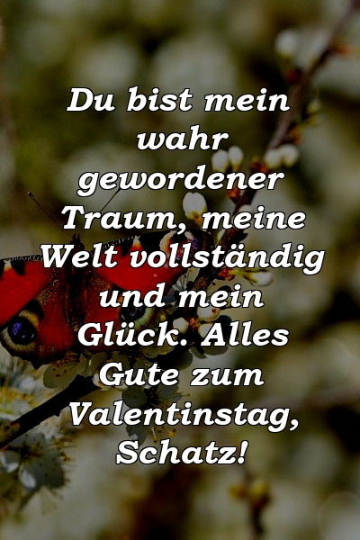 Du bist mein wahr gewordener Traum, meine Welt vollständig und mein Glück. Alles Gute zum Valentinstag, Schatz!