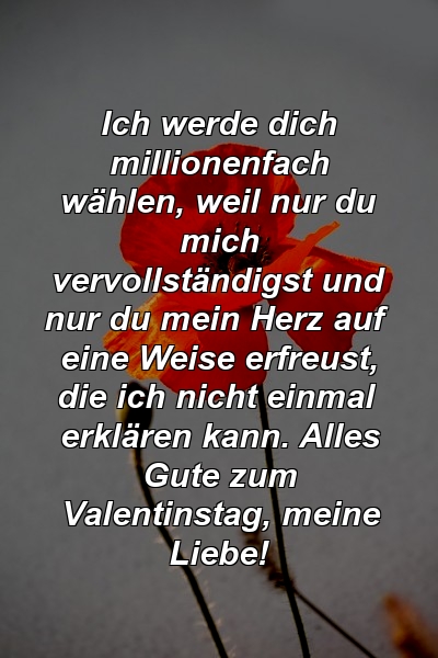 Ich werde dich millionenfach wählen, weil nur du mich vervollständigst und nur du mein Herz auf eine Weise erfreust, die ich nicht einmal erklären kann. Alles Gute zum Valentinstag, meine Liebe!