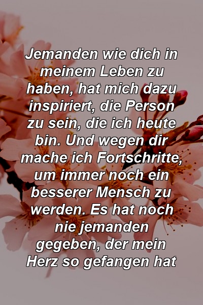 Jemanden wie dich in meinem Leben zu haben, hat mich dazu inspiriert, die Person zu sein, die ich heute bin. Und wegen dir mache ich Fortschritte, um immer noch ein besserer Mensch zu werden. Es hat noch nie jemanden gegeben, der mein Herz so gefangen hat