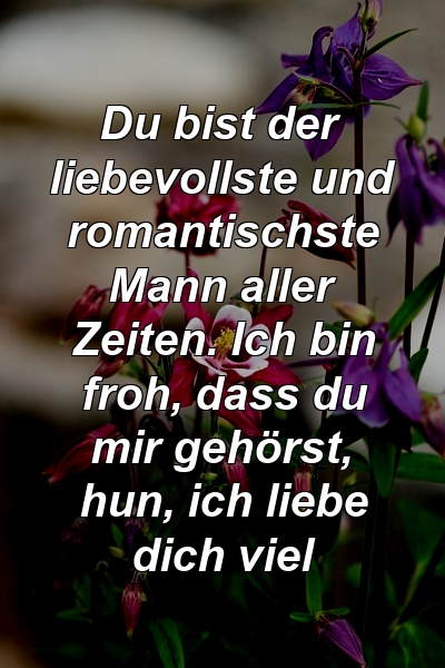 Du bist der liebevollste und romantischste Mann aller Zeiten. Ich bin froh, dass du mir gehörst, hun, ich liebe dich viel