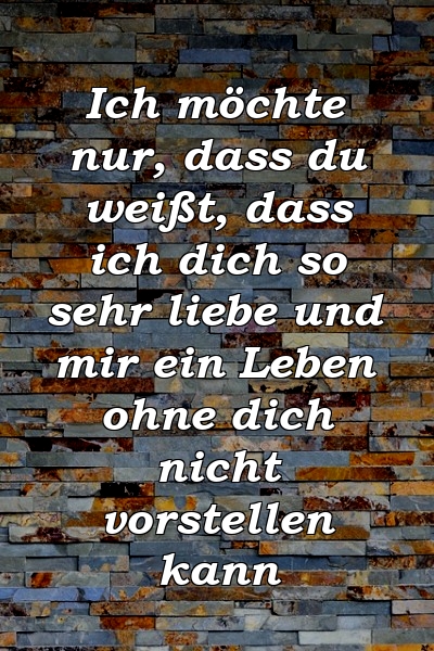 Ich möchte nur, dass du weißt, dass ich dich so sehr liebe und mir ein Leben ohne dich nicht vorstellen kann