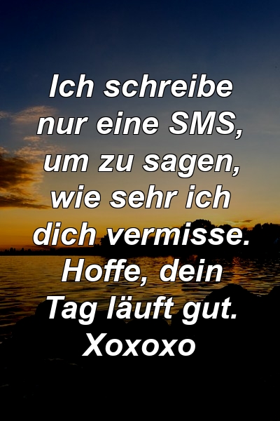 Ich schreibe nur eine SMS, um zu sagen, wie sehr ich dich vermisse. Hoffe, dein Tag läuft gut. Xoxoxo