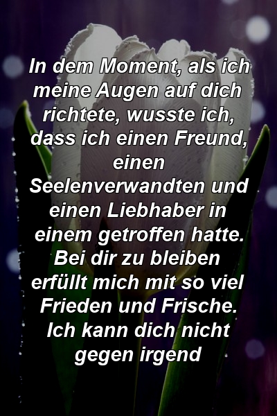 In dem Moment, als ich meine Augen auf dich richtete, wusste ich, dass ich einen Freund, einen Seelenverwandten und einen Liebhaber in einem getroffen hatte. Bei dir zu bleiben erfüllt mich mit so viel Frieden und Frische. Ich kann dich nicht gegen irgend