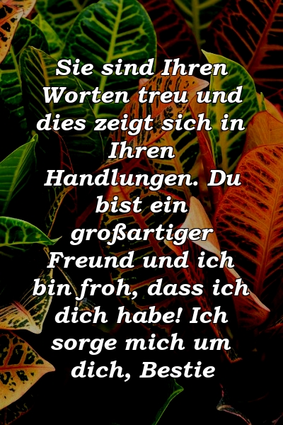 Sie sind Ihren Worten treu und dies zeigt sich in Ihren Handlungen. Du bist ein großartiger Freund und ich bin froh, dass ich dich habe! Ich sorge mich um dich, Bestie