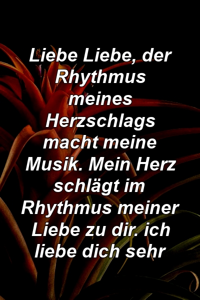 Liebe Liebe, der Rhythmus meines Herzschlags macht meine Musik. Mein Herz schlägt im Rhythmus meiner Liebe zu dir. ich liebe dich sehr