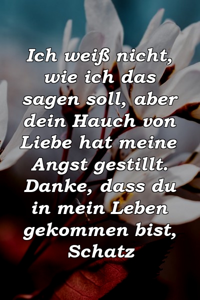 Ich weiß nicht, wie ich das sagen soll, aber dein Hauch von Liebe hat meine Angst gestillt. Danke, dass du in mein Leben gekommen bist, Schatz