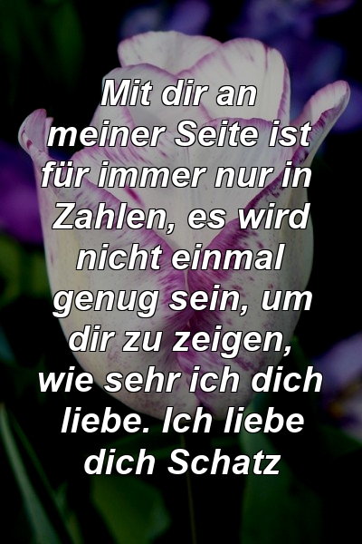 Mit dir an meiner Seite ist für immer nur in Zahlen, es wird nicht einmal genug sein, um dir zu zeigen, wie sehr ich dich liebe. Ich liebe dich Schatz