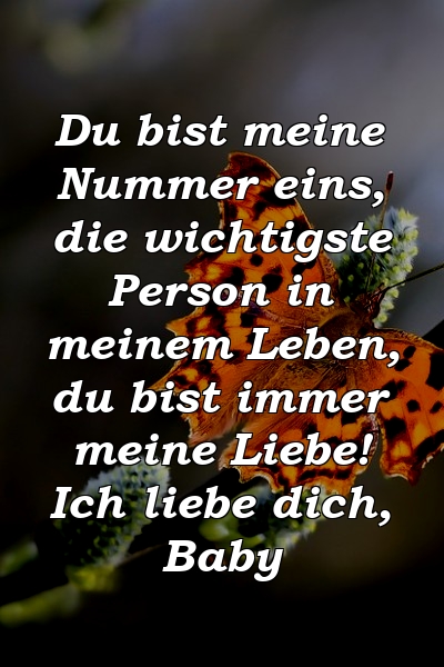 Du bist meine Nummer eins, die wichtigste Person in meinem Leben, du bist immer meine Liebe! Ich liebe dich, Baby