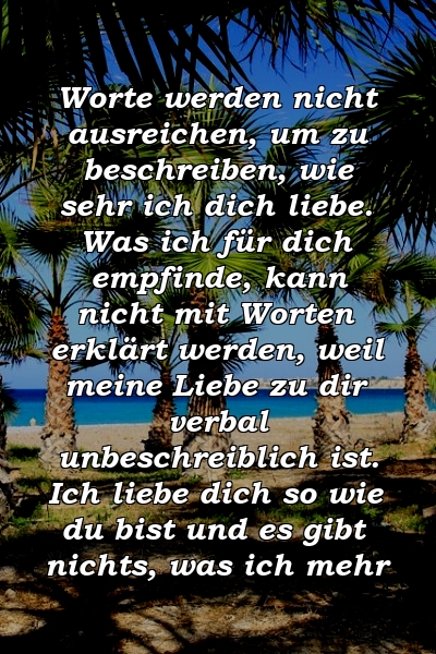 Worte werden nicht ausreichen, um zu beschreiben, wie sehr ich dich liebe. Was ich für dich empfinde, kann nicht mit Worten erklärt werden, weil meine Liebe zu dir verbal unbeschreiblich ist. Ich liebe dich so wie du bist und es gibt nichts, was ich mehr 